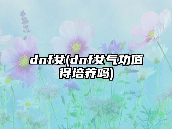 dnf女(dnf女气功值得培养吗)