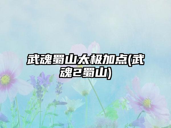 武魂蜀山太极加点(武魂2蜀山)