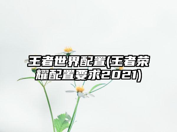 王者世界配置(王者荣耀配置要求2021)