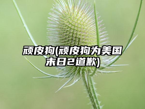 顽皮狗(顽皮狗为美国末日2道歉)