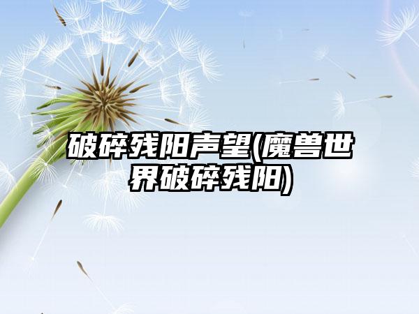 破碎残阳声望(魔兽世界破碎残阳)