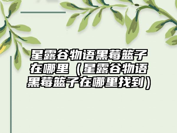 星露谷物语黑莓篮子在哪里（星露谷物语黑莓篮子在哪里找到）