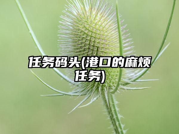 任务码头(港口的麻烦任务)