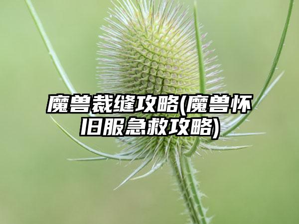 魔兽裁缝攻略(魔兽怀旧服急救攻略)