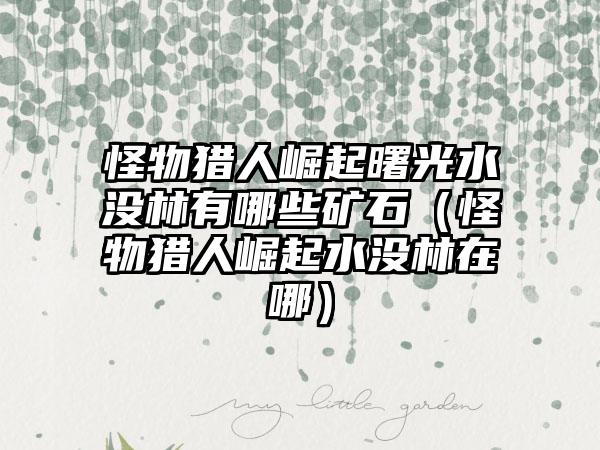 怪物猎人崛起曙光水没林有哪些矿石（怪物猎人崛起水没林在哪）