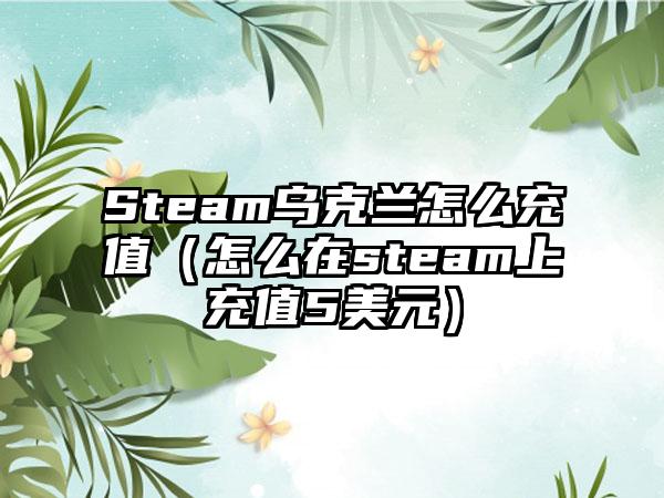 Steam乌克兰怎么充值（怎么在steam上充值5美元）