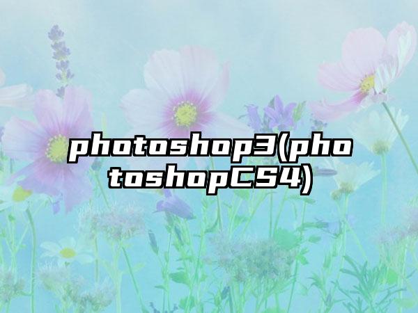 photoshop3(photoshopCS4)