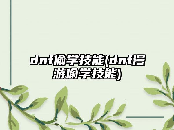 dnf偷学技能(dnf漫游偷学技能)