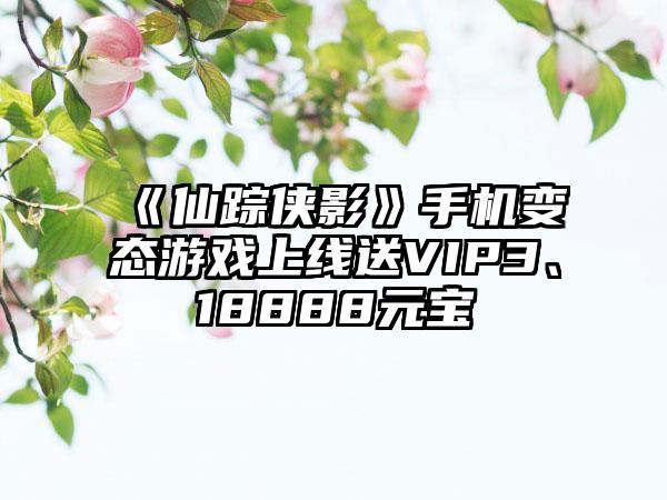 《仙踪侠影》手机变态游戏上线送VIP3、18888元宝