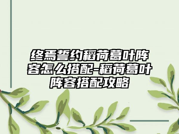 终焉誓约稻荷葛叶阵容怎么搭配-稻荷葛叶阵容搭配攻略