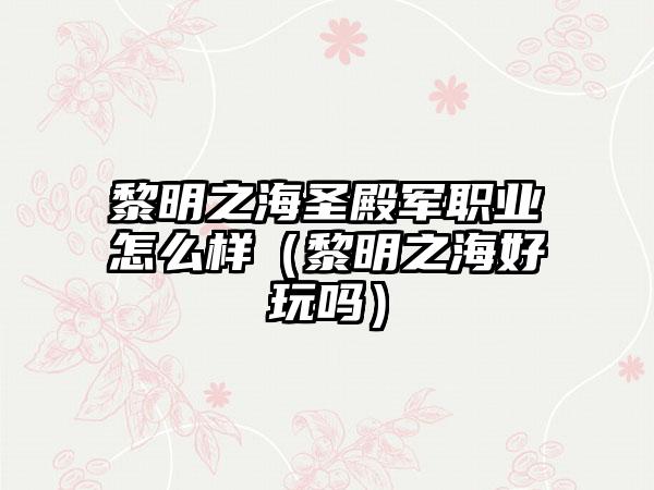 黎明之海圣殿军职业怎么样（黎明之海好玩吗）