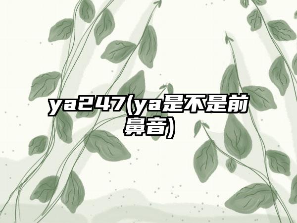 ya247(ya是不是前鼻音)