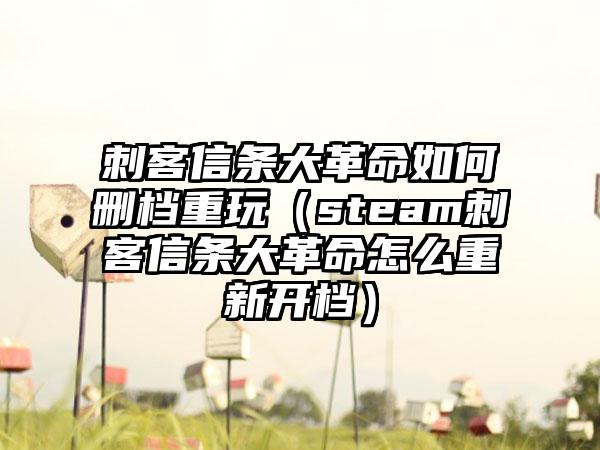 刺客信条大革命如何删档重玩（steam刺客信条大革命怎么重新开档）