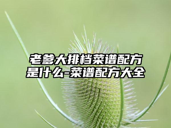 老爹大排档菜谱配方是什么-菜谱配方大全