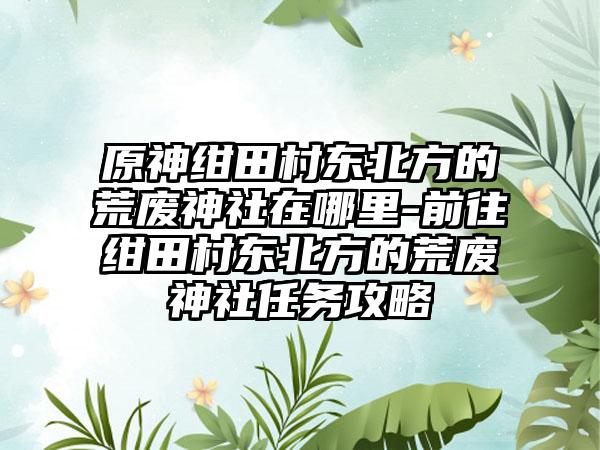 原神绀田村东北方的荒废神社在哪里-前往绀田村东北方的荒废神社任务攻略