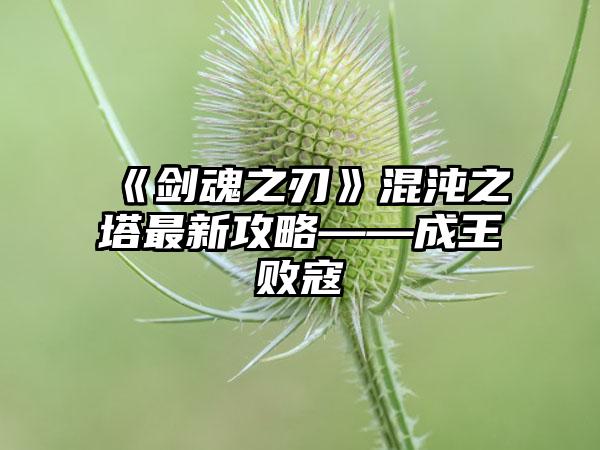 《剑魂之刃》混沌之塔最新攻略——成王败寇
