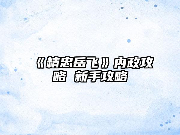 《精忠岳飞》内政攻略 新手攻略