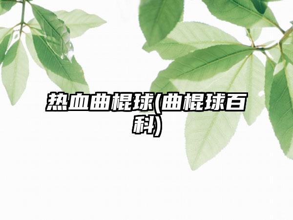 热血曲棍球(曲棍球百科)
