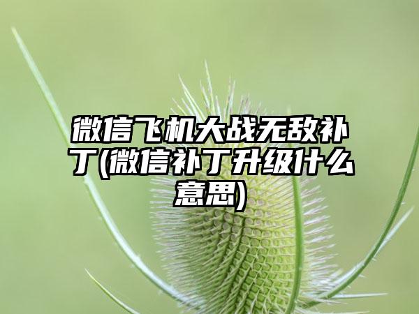 微信飞机大战无敌补丁(微信补丁升级什么意思)