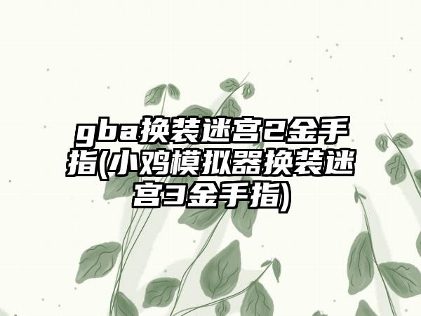 gba换装迷宫2金手指(小鸡模拟器换装迷宫3金手指)