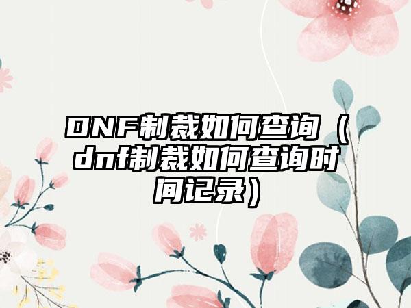 DNF制裁如何查询（dnf制裁如何查询时间记录）
