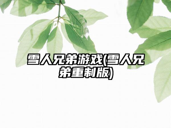 雪人兄弟游戏(雪人兄弟重制版)