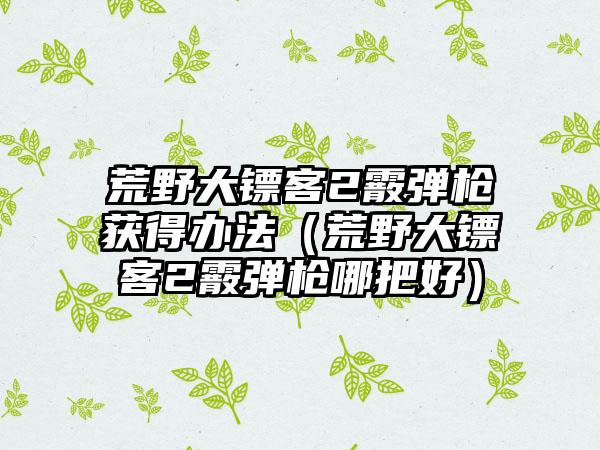 荒野大镖客2霰弹枪获得办法（荒野大镖客2霰弹枪哪把好）