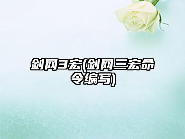 剑网3宏(剑网三宏命令编写)