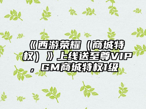 《西游荣耀（商城特权）》上线送至尊VIP，GM商城特权1级