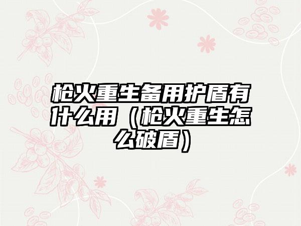 枪火重生备用护盾有什么用（枪火重生怎么破盾）