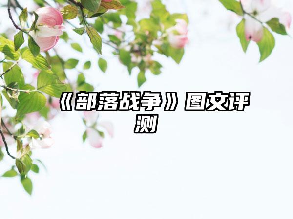 《部落战争》图文评测