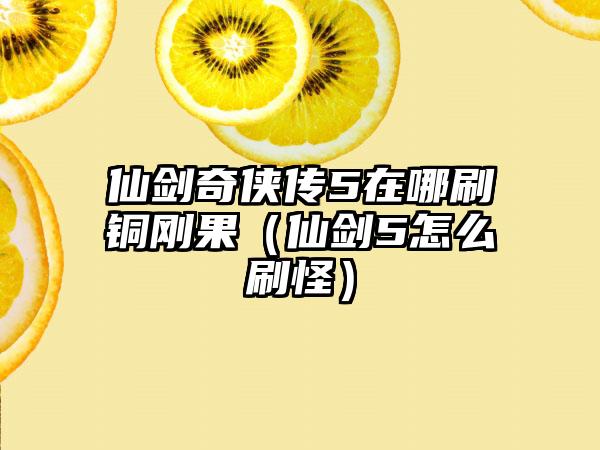 仙剑奇侠传5在哪刷铜刚果（仙剑5怎么刷怪）