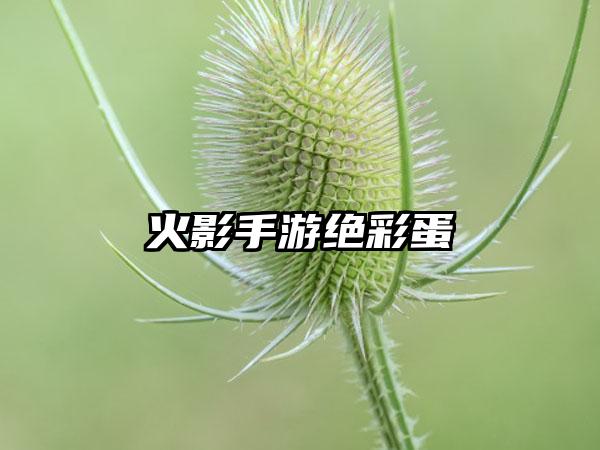 火影手游绝彩蛋