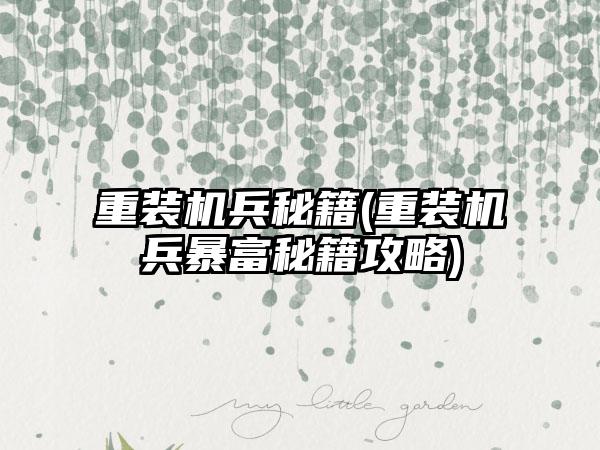 重装机兵秘籍(重装机兵暴富秘籍攻略)