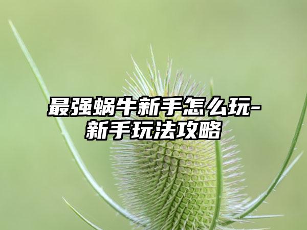 最强蜗牛新手怎么玩-新手玩法攻略