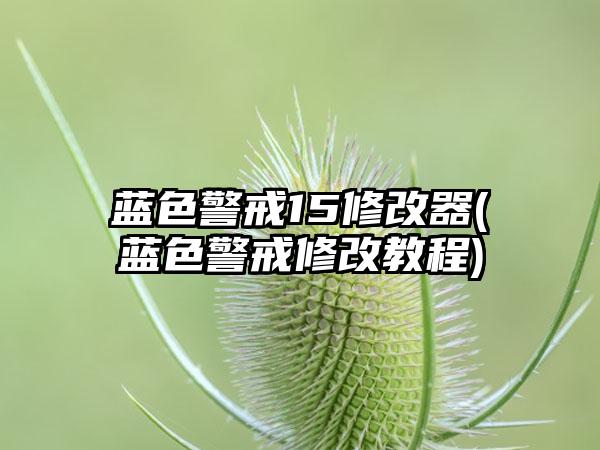 蓝色警戒15修改器(蓝色警戒修改教程)