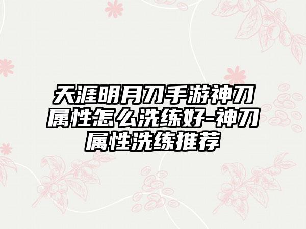 天涯明月刀手游神刀属性怎么洗练好-神刀属性洗练推荐