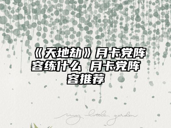 《天地劫》月卡党阵容练什么 月卡党阵容推荐