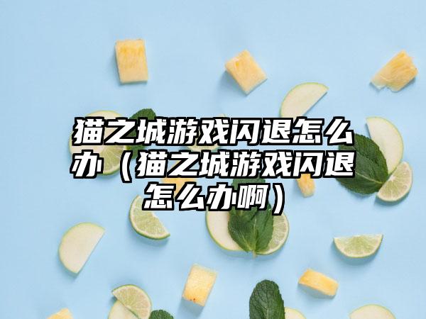 猫之城游戏闪退怎么办（猫之城游戏闪退怎么办啊）