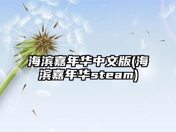 海滨嘉年华中文版(海滨嘉年华steam)