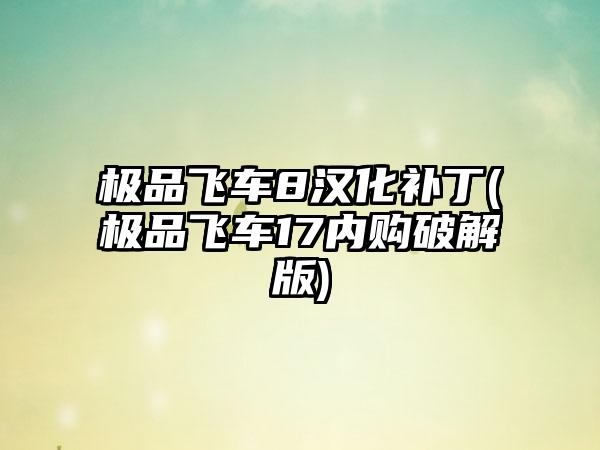 极品飞车8汉化补丁(极品飞车17内购破解版)