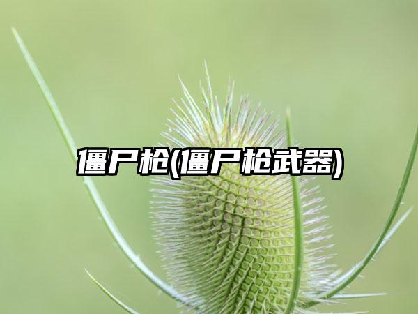 僵尸枪(僵尸枪武器)