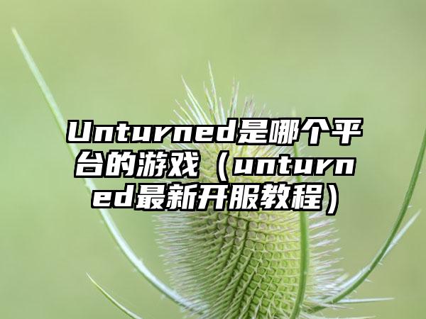 Unturned是哪个平台的游戏（unturned最新开服教程）