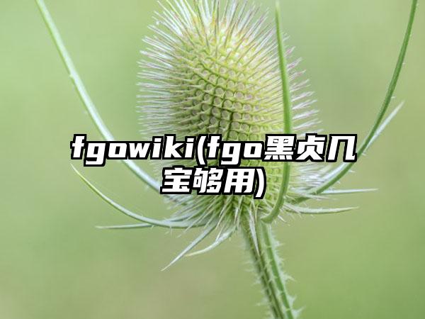 fgowiki(fgo黑贞几宝够用)