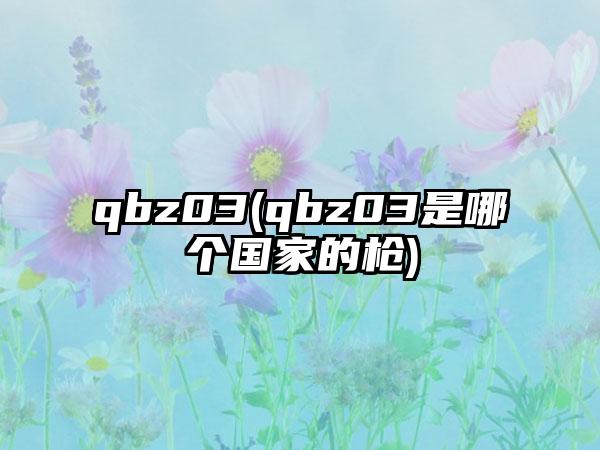 qbz03(qbz03是哪个国家的枪)