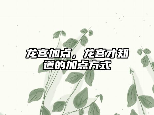 龙宫加点，龙宫才知道的加点方式