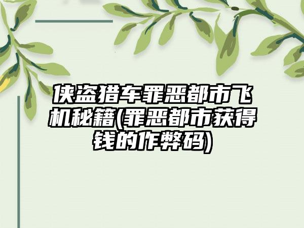 侠盗猎车罪恶都市飞机秘籍(罪恶都市获得钱的作弊码)