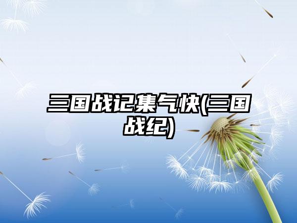 三国战记集气快(三国战纪)
