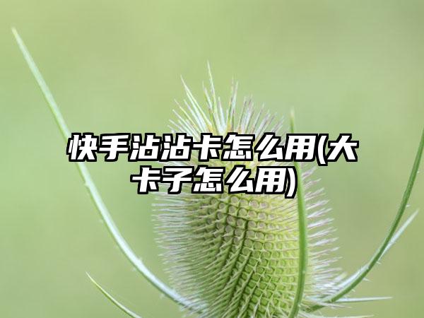 快手沾沾卡怎么用(大卡子怎么用)