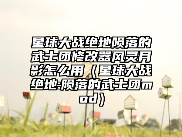 星球大战绝地陨落的武士团修改器风灵月影怎么用（星球大战绝地:陨落的武士团mod）